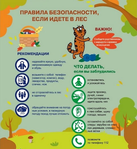 Безопасность в лесу